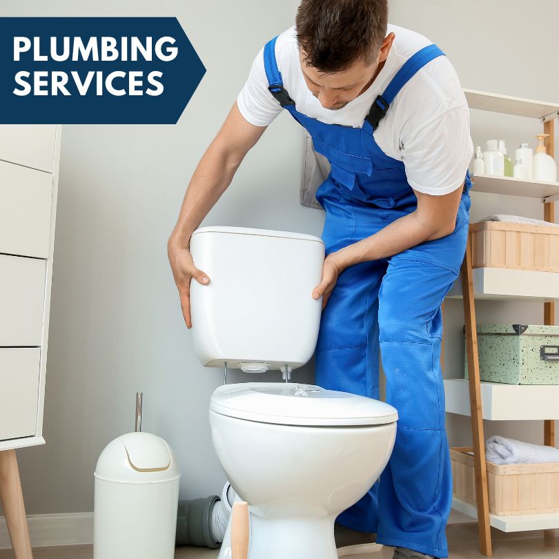 Plumbing Company in Wright, MN